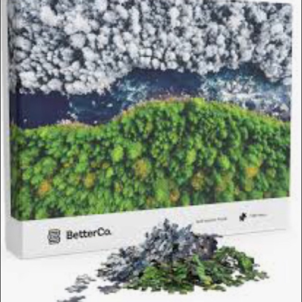 Better Co. Split Seasons Puzzle - Difficult Jigsaw puzzle 1000 Pieces